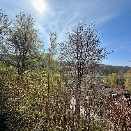 Natur Pur - Waldurlaub Im Tiny House Ronshausen ภายนอก รูปภาพ