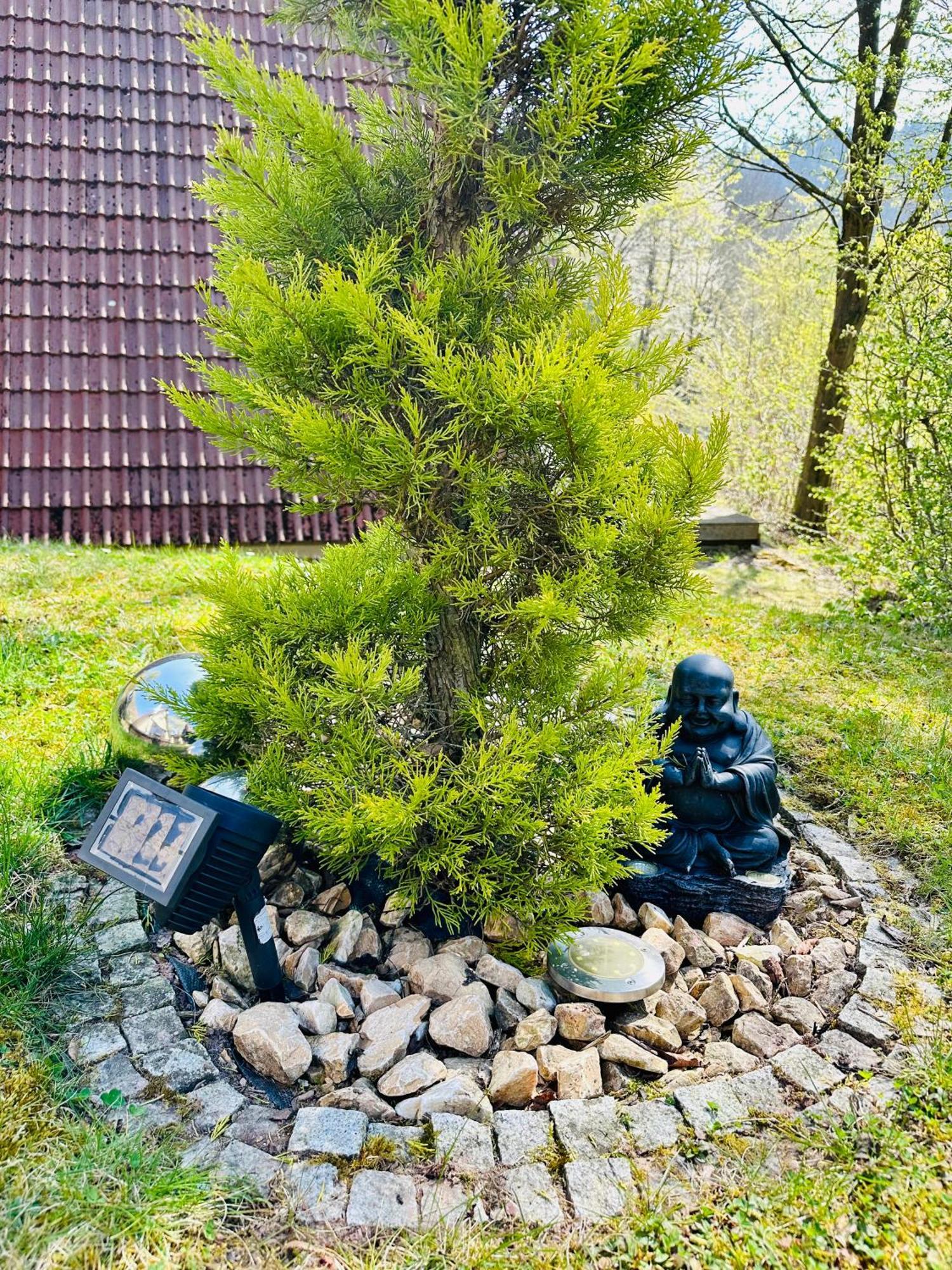 Natur Pur - Waldurlaub Im Tiny House Ronshausen ภายนอก รูปภาพ