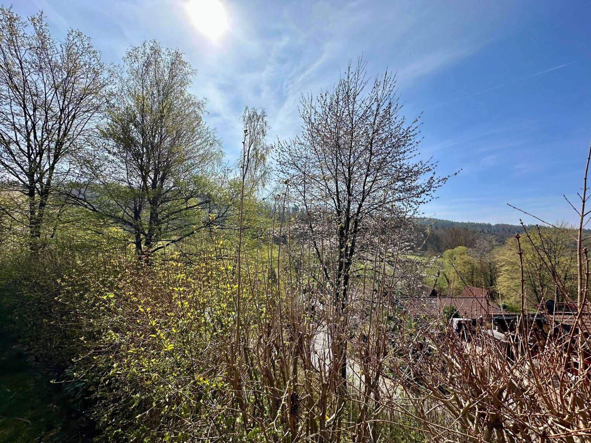 Natur Pur - Waldurlaub Im Tiny House Ronshausen ภายนอก รูปภาพ